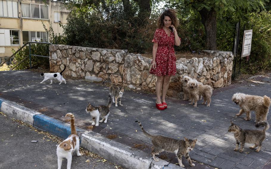 Shelley Liss Barkan, 60, a schoolteacher, is one of the few residents in Shlomi who did not evacuate from her home.