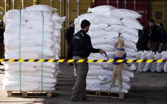 An agent from Paraguay’s anti-drug agency, Senad, and an anti-drug dog inspect sacks of sugar at the port of Caacupemi in Asuncion, Paraguay, Tuesday, July 16, 2024. Authorities announced the largest cocaine seizure in the country's history after officials found more than 4 tons of the drug stashed inside a shipment of sugar bound for Belgium. 