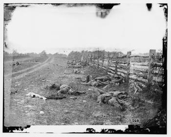 Dead Confederate soldiers following the Battle of Antietam during the Civil War in 1862. 