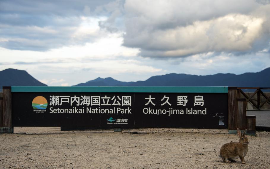 Otherwise known as Rabbit Island, Okuno-jima is home to a dark past. During World War II, it was used by Imperial Japan for research and development of chemical weapons.