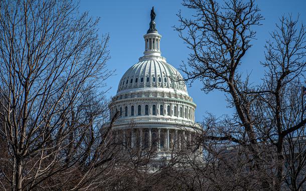 The dome of the U.S. Capitol building is seen from a distance between tree branches.