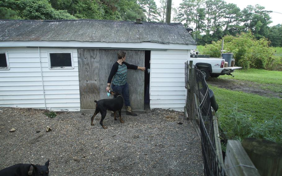 A woman accompanied by a dog opens the wooden door of a barn.