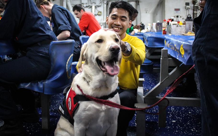 Demo is one of four facility dogs that has deployed aboard East Coast-based warships since 2023 as part of a small-scale test to evaluate the feasibility of deploying dogs aboard warships across the fleet.  