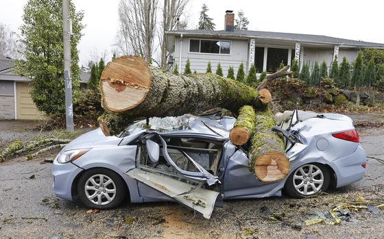 Trees lay on top of a smashed car after severe weather.