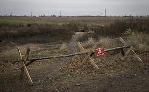 A rustic looking fence built out of planks of wood and sticks is wrapped in barbed wire and holds a red sign with a skull and crossbones on it. 