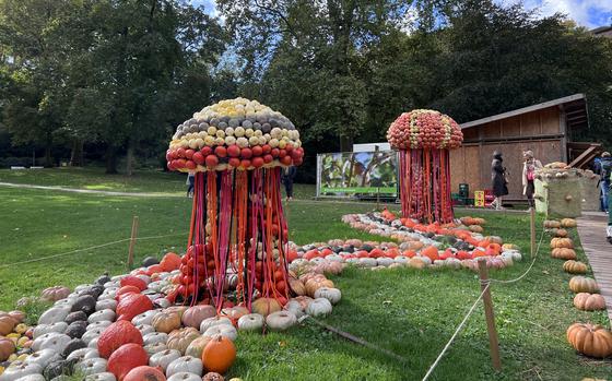 Ludwigsburg castle hosts a fanciful exhibition of hundreds of thousands of pumpkins arranged into sculptures. Plenty of pumpkin-related snacks are also available at the exhibition, which runs on weekends until Nov. 3.