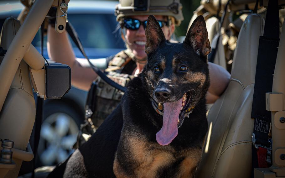 Air Force Staff Sgt. Shanna McCarter and her dog Mojito take a break in the shade 