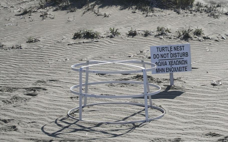 The area of a turtle nest on the beach by the Akrotiri British base area, near the coastal city of Limassol, Cyprus. 