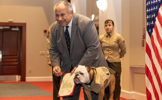 Secretary of the Navy Carlos Del Toro poses with Chesty XVI, mascot of Marine Barracks Washington, and his promotion warrant after promoting him to the rank of Corporal on Jan 16. 2025 at Marine Barracks Washington, D.C. During the ceremony, Secretary Del Toro announced USS McClung (LSM 1) as the name for the first ship in the new McClung-class of medium landing ships. (U.S. Marine Corps photo by Lance Cpl. Christopher Prelle)