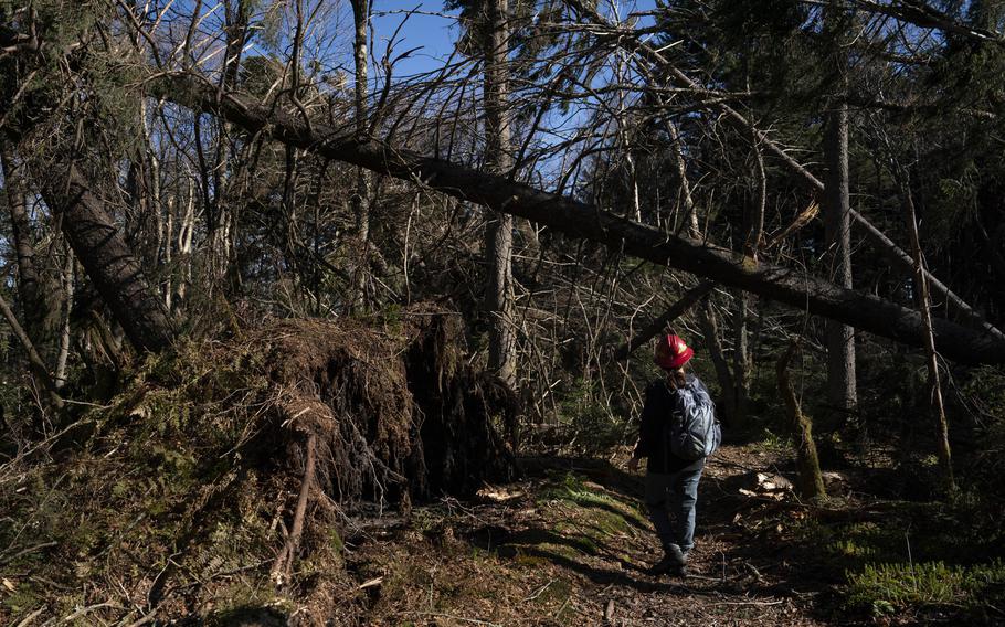 Emily Powell, with the Appalachian Trail Conservancy, surveys downed trees that have made portions of the Appalachian Trail impassable in Tennessee and North Carolina. “To see this much destruction is chaotic and scary,” Powell says. 