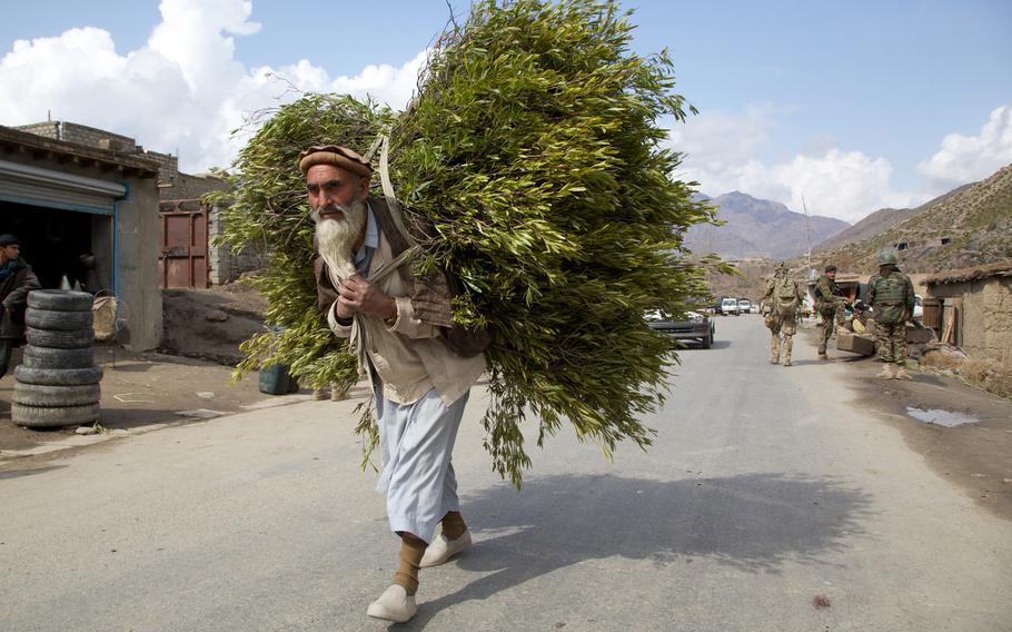 A man carries a bundle of brush past Afghan and coalition soldiers