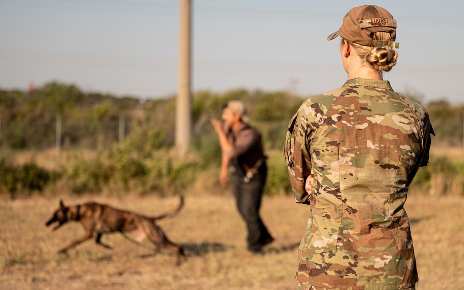 Air Force 2nd Lt. Madison Marsh observes military working dog training