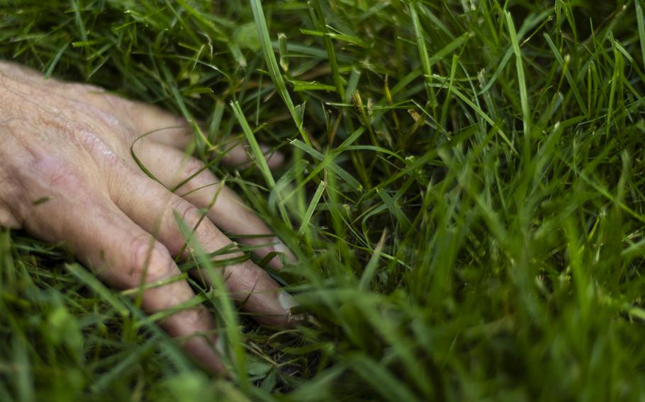 Jackson Madnick carefully selected seeds for Pearl’s Premium that are native to North America and are more tolerant to drought, disease, salt and bugs than traditional lawn grasses. 