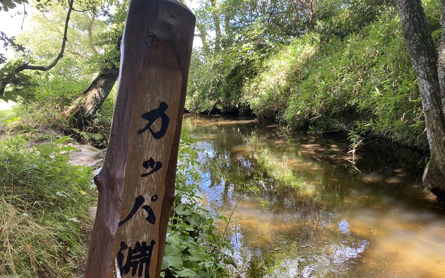 You’ll find Kappabuchi Pool behind Joken-ji, a Buddhist temple in Tono, Japan. Japanese signs point the way to a tranquil, tree-shaded grove where mischievous kappas are said to relax, munch on cucumbers and play tricks on visitors. 