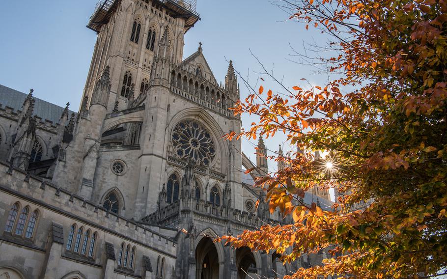 A view of the cathedral with autumn leaves on the trees.