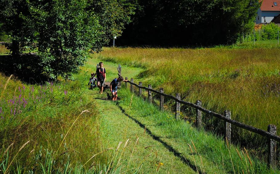 Children enjoy the barefoot path in Ludwigswinkel, Germany, experiencing different textures underfoot. The path offers a fun way to connect with nature and recover from a day's hike.