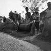 Somewhere in South Korea, October 1960: South Korean rice farmers use a foot-operated treadle thresher to separate the rice grains from the straw. Rice cultivation has a long history in Korea with remains of rice dating back to 2000 B.C. excavated in Kimpo.

Looking for Stars and Stripes’ historic coverage? Subscribe to Stars and Stripes’ historic newspaper archive! We have digitized our 1948-1999 European and Pacific editions, as well as several of our WWII editions and made them available online through https://starsandstripes.newspaperarchive.com/

META TAGS: South Korea; agriculture; rice cultivation; Korean culture; food production