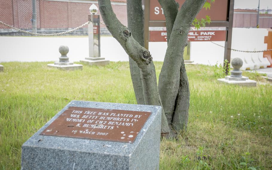 A plaque marks the tree at Memorial Park planted by Betty Nance Humphreys in memory of her husband at Camp Humphreys, South Korea. 