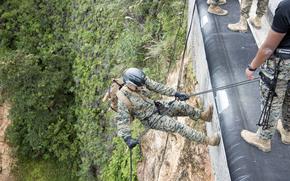 A Marine is shown starting to descend a large cliff in a jungle setting.