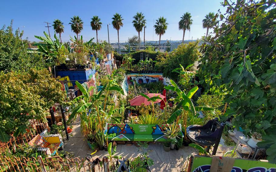 An urban garden in Los Angeles.