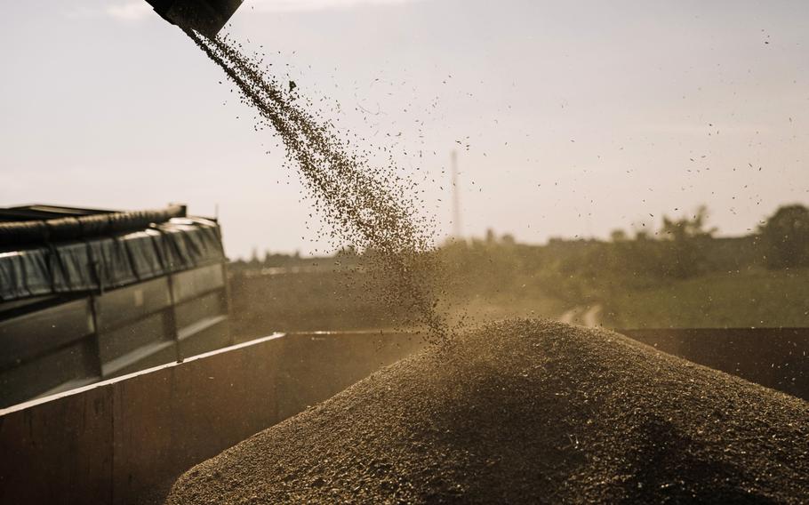 Ukraine has limited storage space as this year’s harvest piles up. 