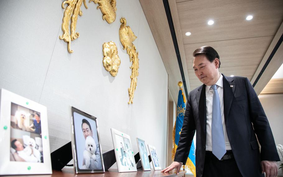 South Korean President Yoon Suk Yeol looks at photographs on display in his office. He and his wife have six dogs and five cats, mostly rescues.