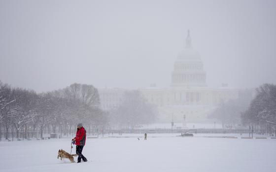 A person in a red jacket walks their dog, which is jumping through the snow on the National Mall while the U.S. Capitol is visible in the background.