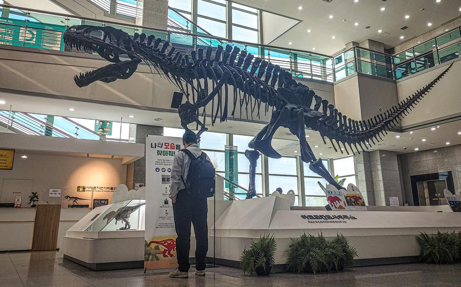 A man wearing a backpack stands in front of a large dinosaur skeleton and reads a display.