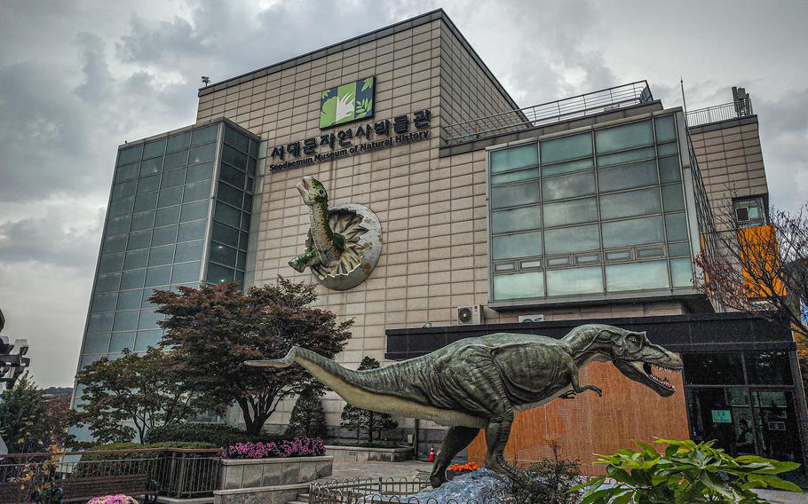 A replica of a dinosaur stands on display outside the entrance to a museum.