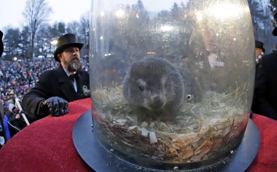 FILE - Groundhog Club co-handler A.J. Dereume, left, places Punxsutawney Phil, the weather prognosticating groundhog, in his carrying capsule, during the 133rd celebration of Groundhog Day on Gobbler's .J.Knob in Punxsutawney, Pa. Saturday, Feb. 2, 2019.   (AP Photo/Gene J. Puskar, File)