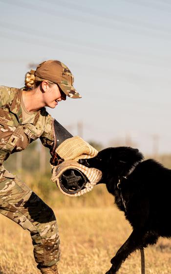 Air Force 2nd Lt. Madison Marsh gets bit by a military working dog