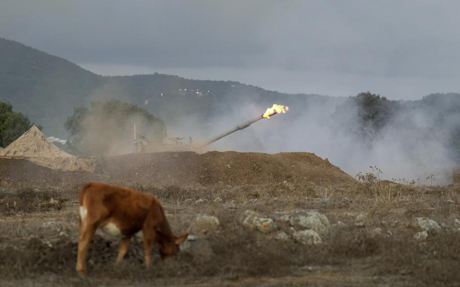 A small cow grazes in the foreground as the Israeli army fires an artillery shell.