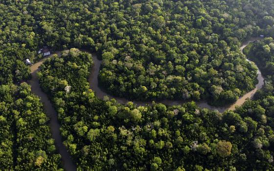 FILE - Forest lines the Combu creek, on Combu Island on the banks of the Guama River, near the city of Belem, Para state, Brazil, Aug. 6, 2023. 