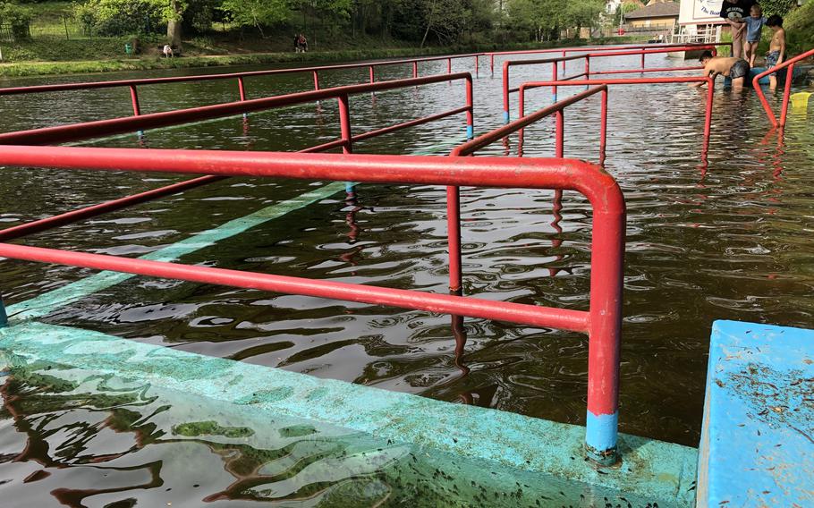 Tadpoles form a swarm in the water at Bärenloch in Kindsbach, Germany. The natural lake is also frequented by humans, who find it a pleasant place for swimming and sunbathing.