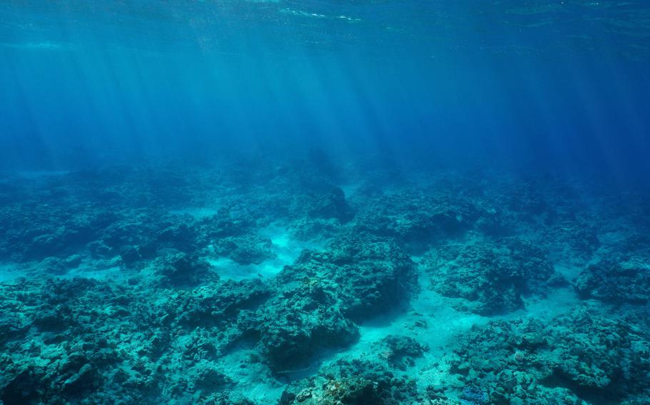 The ocean floor in the south Pacific Ocean, Rurutu, Austral Islands, French Polynesia.