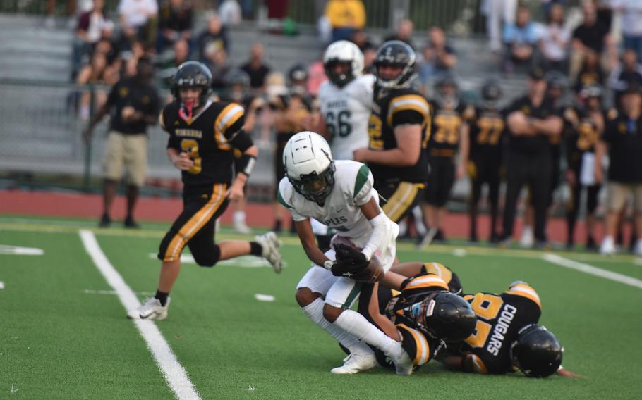 Naples’ Micael Daniels manages to hang onto the ball - barely - in the Wildcats’ 28-6 victory over Vicenza on Friday, Sept. 20, 2024.