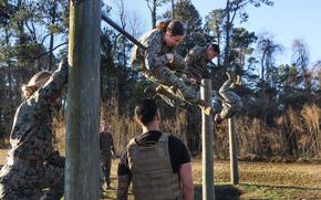 U.S. Marines and U.S. Navy Sailors with 2nd Marine Logistics Group, participate in an obstacle course during the Force Fitness Instructor Course culminating event on Camp Lejeune, North Carolina, Feb. 14, 2024. 2nd MLG Marines and Sailors participated in the course to understand how to utilize structured functional exercise science in order to optimize performance, reduce injuries, and maximize unit physical readiness. (U.S. Marine Corps photo by Cpl. Mary Kohlmann)