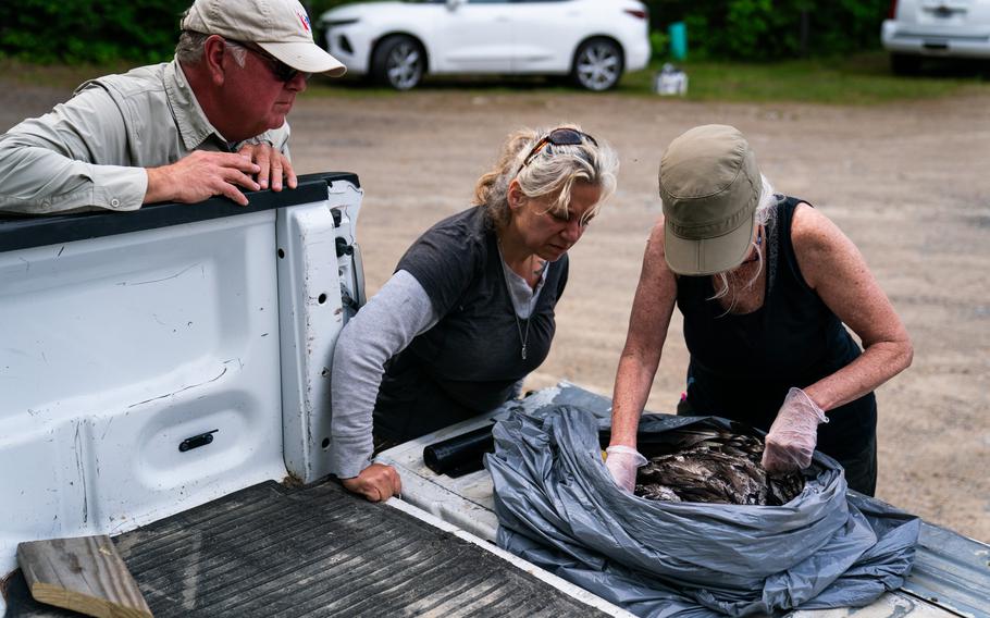 Bowerman; Julia Ponder, an associate dean of the College of Veterinary Medicine at the University of Minnesota, center; and Shrum inspect a grim discovery: the remains of an adult eagle.