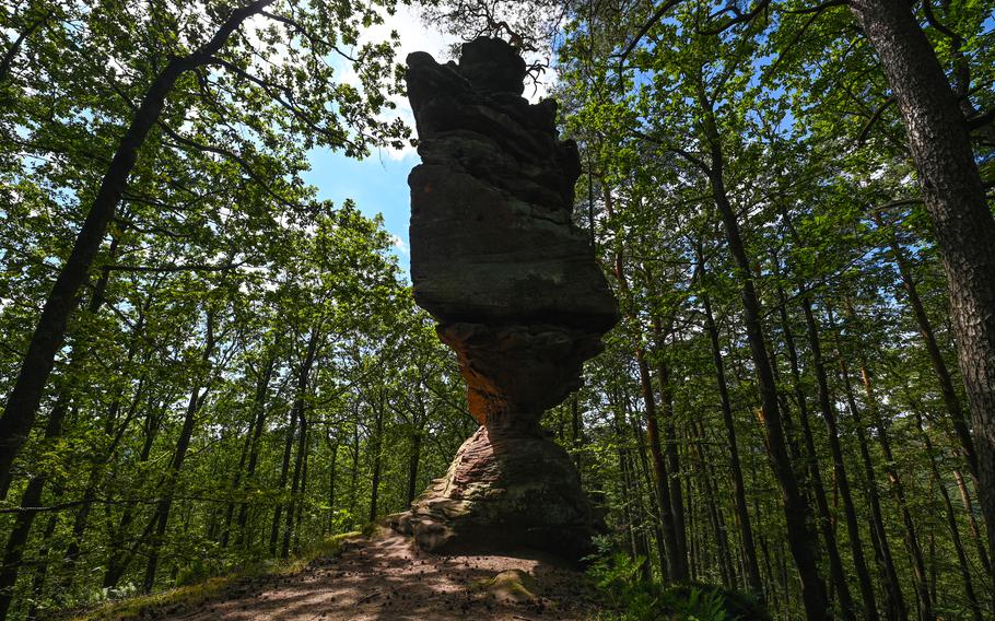 A slender sandstone tower rises dramatically from the forest floor, part of the stunning Rumberg formation near Ludwigswinkel, Germany.