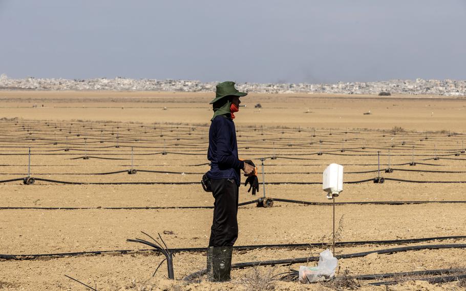 An agricultural worker stands in the middle of an expansive field below a blue-gray sky.