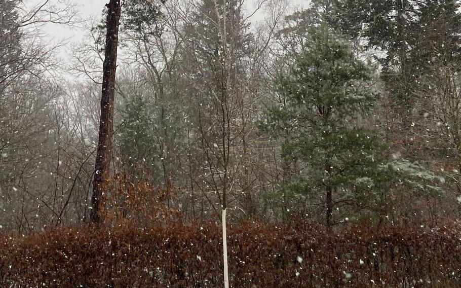 Snow falls among the trees at the Kaiserslautern cemetery.