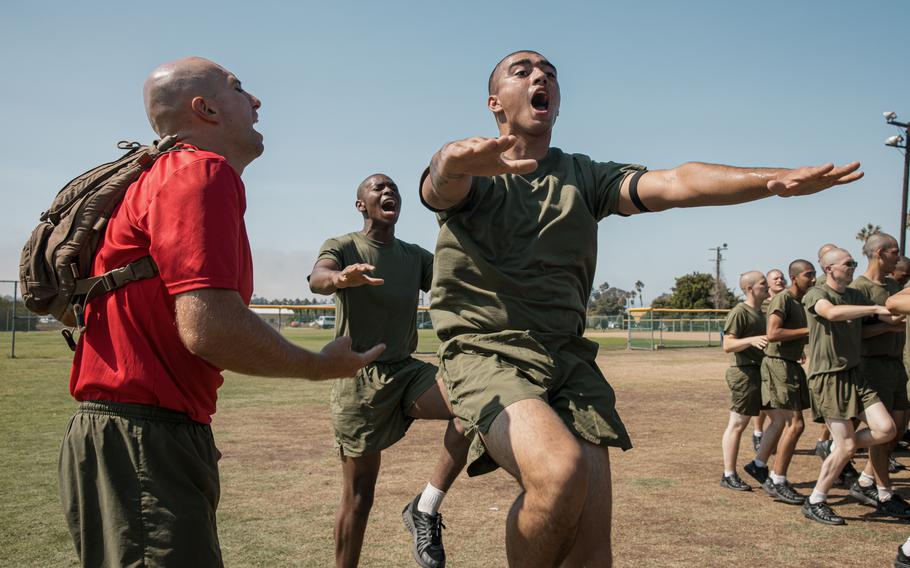 Marine recruits do physical training under the guidance of a drill instructor.