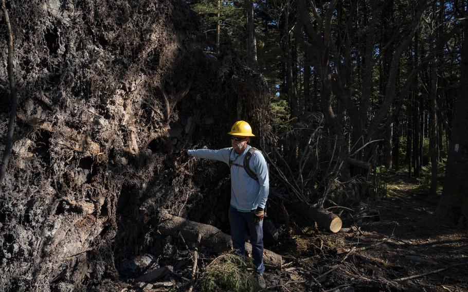 Franklin Tate, who works for the Appalachian Trail Conservancy, predicts that some areas through southern Appalachia will take decades to reforest. 