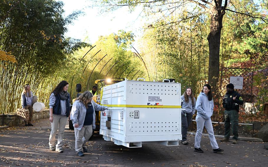 Giant panda Mei Xiang is transported to a truck at the Smithsonian National Zoological Park on Wednesday, Nov, 8, 2023.