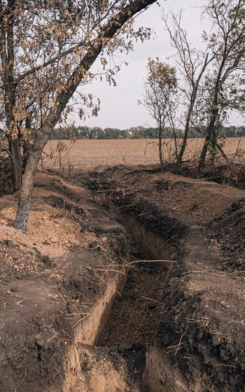 A trench within a tree line.