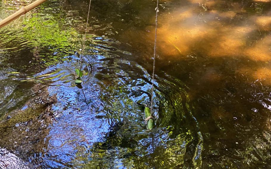 Bamboo poles baited with cucumber are what you'll use to catch the mythical kappa at Kappabuchi Pool in Tono, Japan.