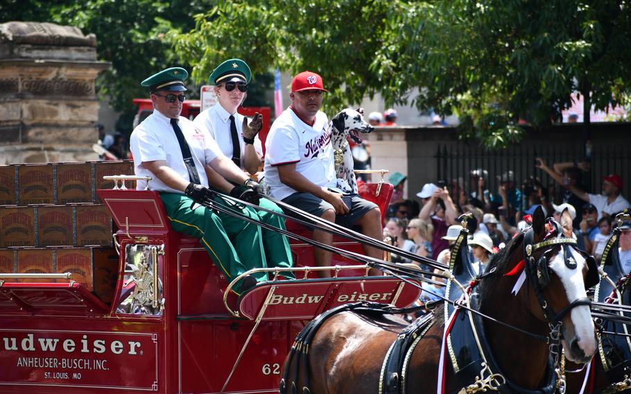 The Budweiser carriage and famous Clydesdales were present at Washington, D.C.’s Independence Day parade.