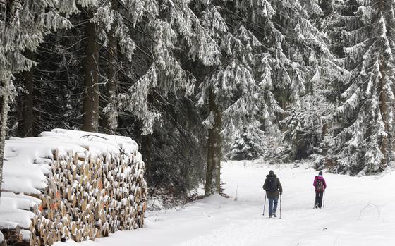 Two people with trekking poles walk through a dense forest.