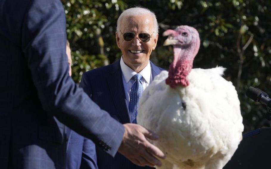 Someone gestures towards a turkey with President Biden wearing sunglasses smiling in the background.