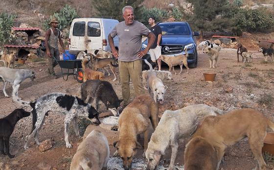 In this photo provided by Mashala Shelter, Hussein Hamza feeds dogs at his animal shelter in Kfour, south Lebanon in 2024.